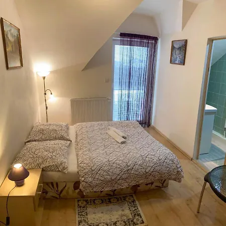 利萨纳旅馆 3* Nová Lesná