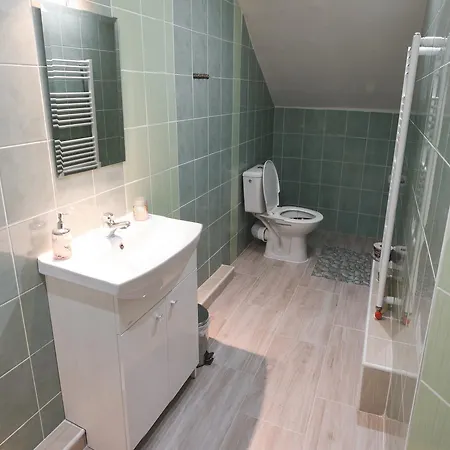 Guest house Lesana 3*