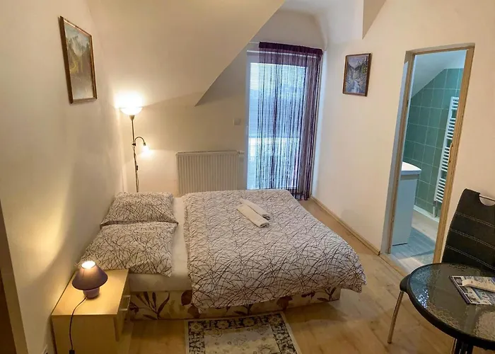Lesana 3* Nová Lesná