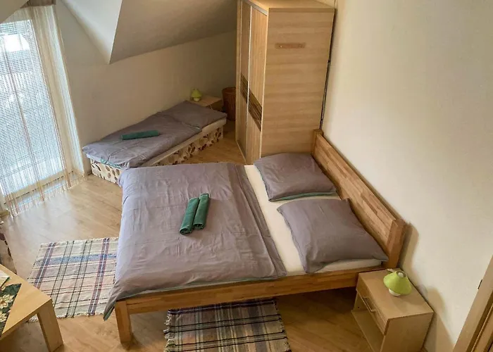Lesana 3* Nová Lesná